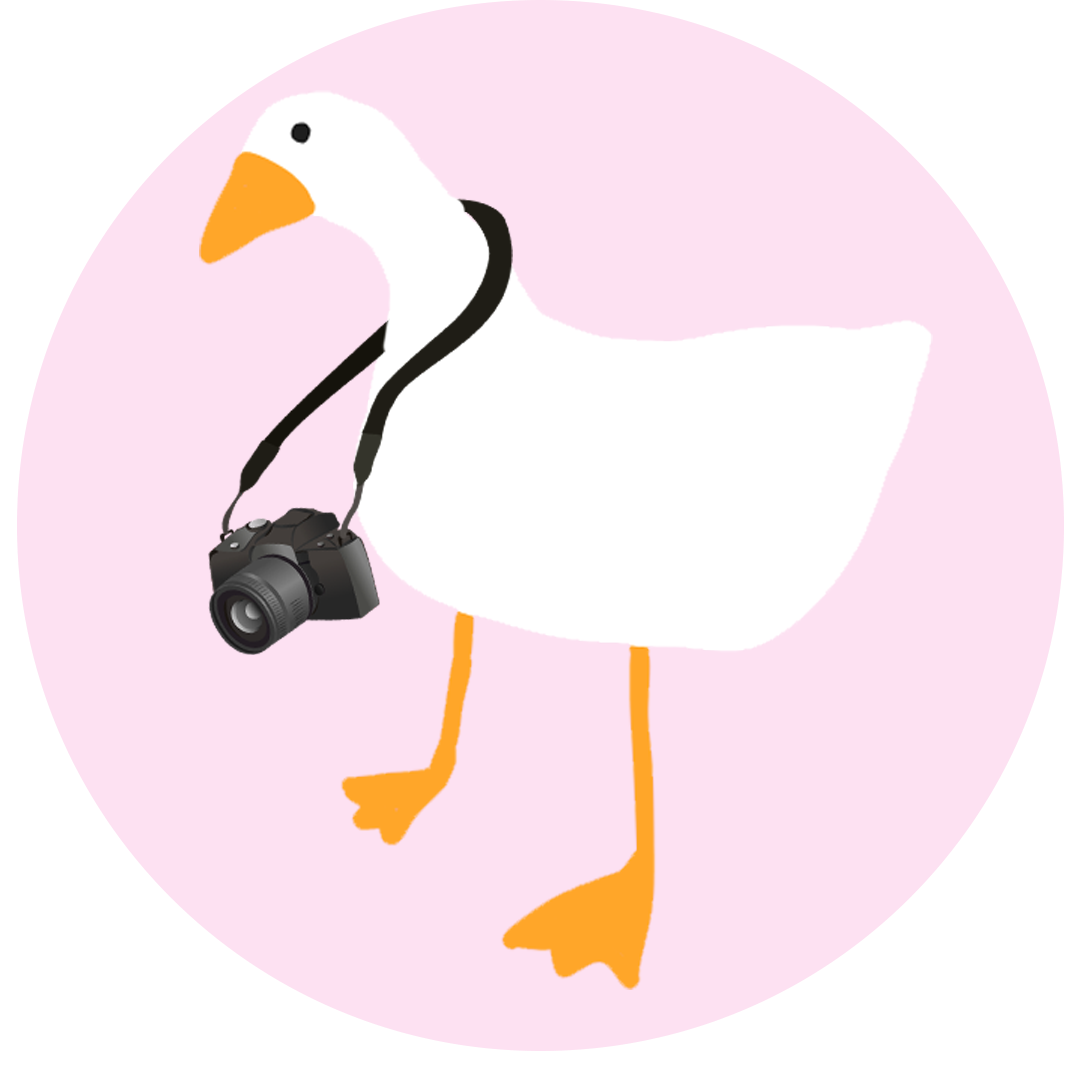 GroovyGooseMedia